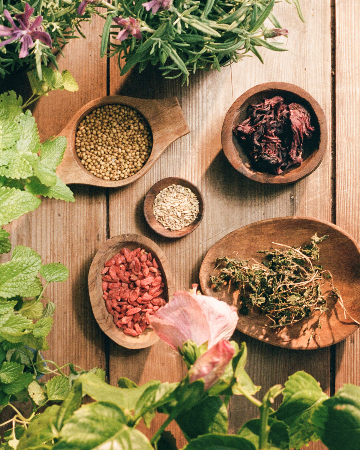 Wellness Bundle
