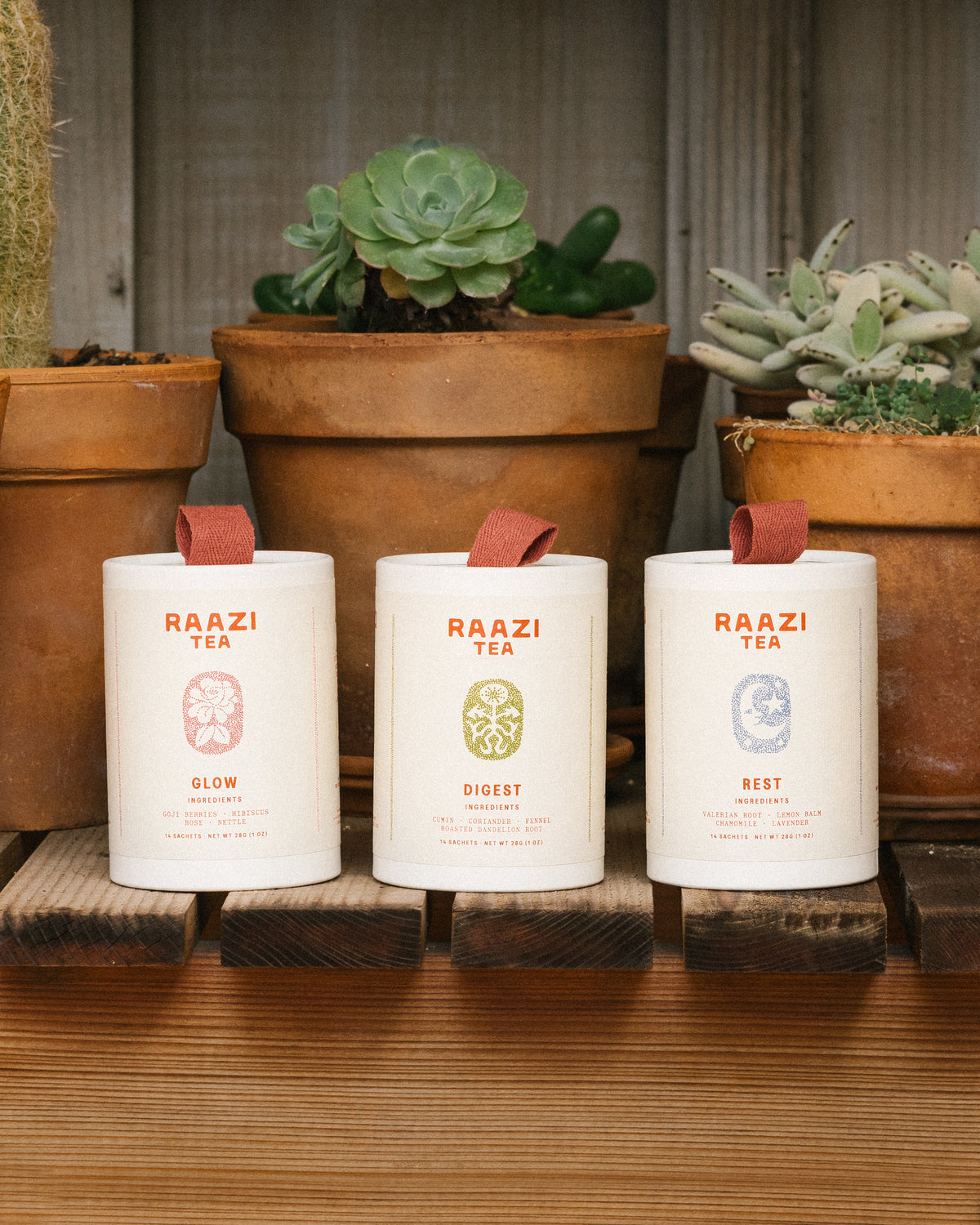 Wellness Bundle