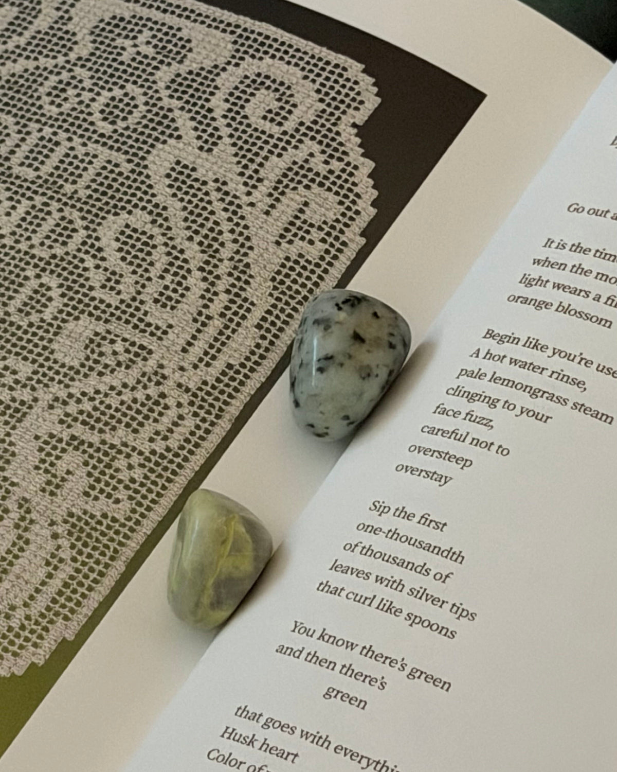 Leaves Volume 6