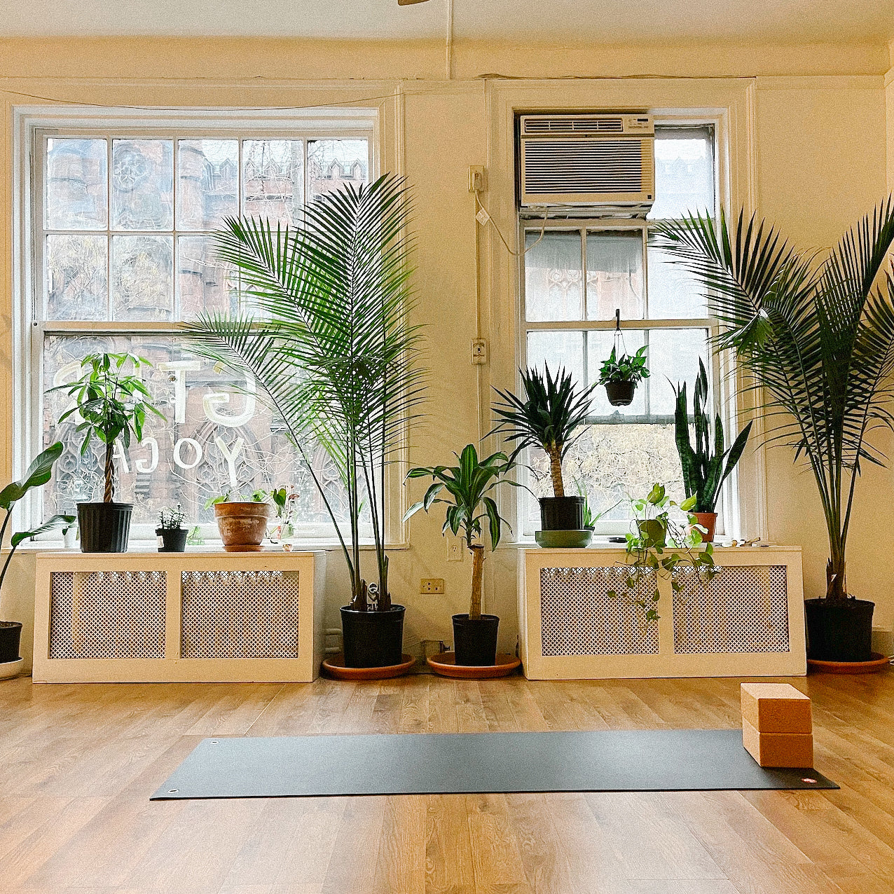 GTHR Yoga Workshop (Jan 30)